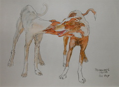 PODENCO 17 SEVERINE ET JD