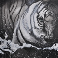 White tiger  8 x 100.jpg