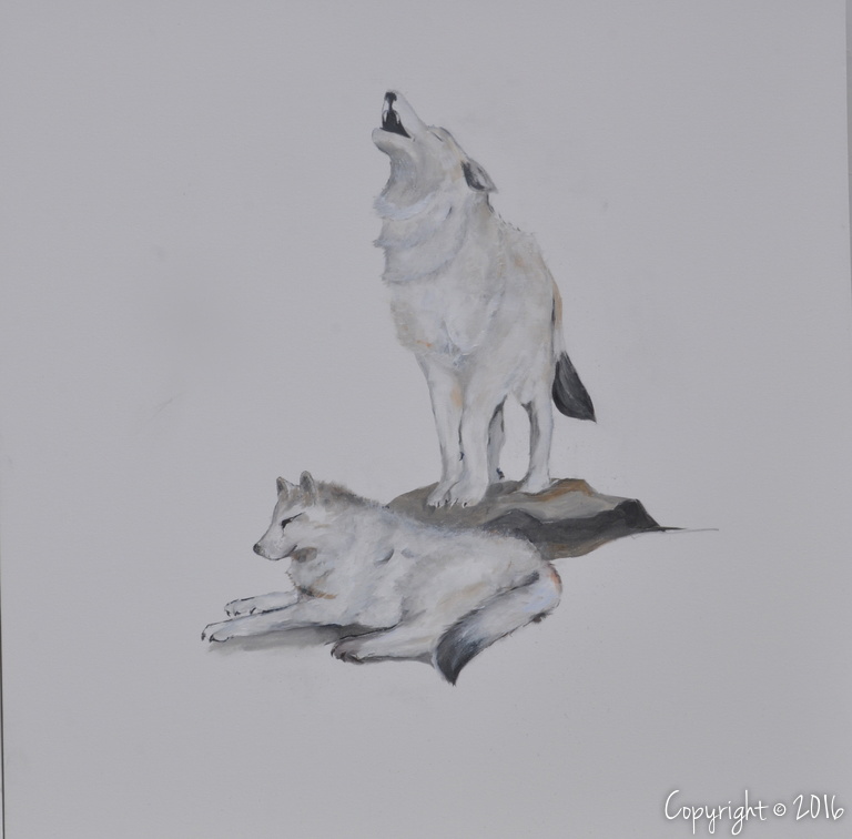 couple de loups blancs du Canada 100 x 100
